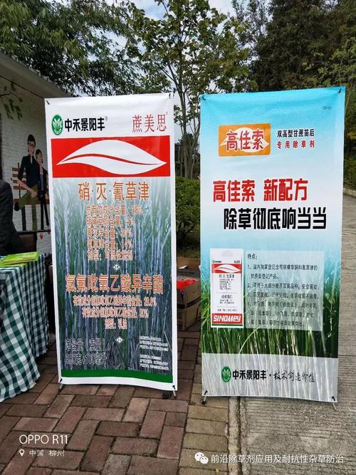 中禾景阳丰双高全打型甘蔗除草剂新产品高佳索,蔗美思上市
