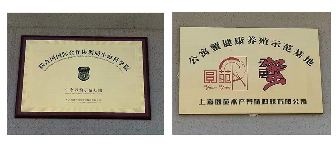 融入联合国项目体系,撑起日纳谷科技未来